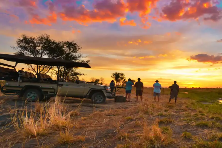 🕓From Victoria Falls : Hwange Day and Overnight Safari