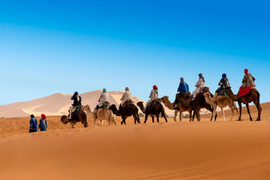 🕓From Zagora: 2-Day Desert Tour to Erg Chegaga