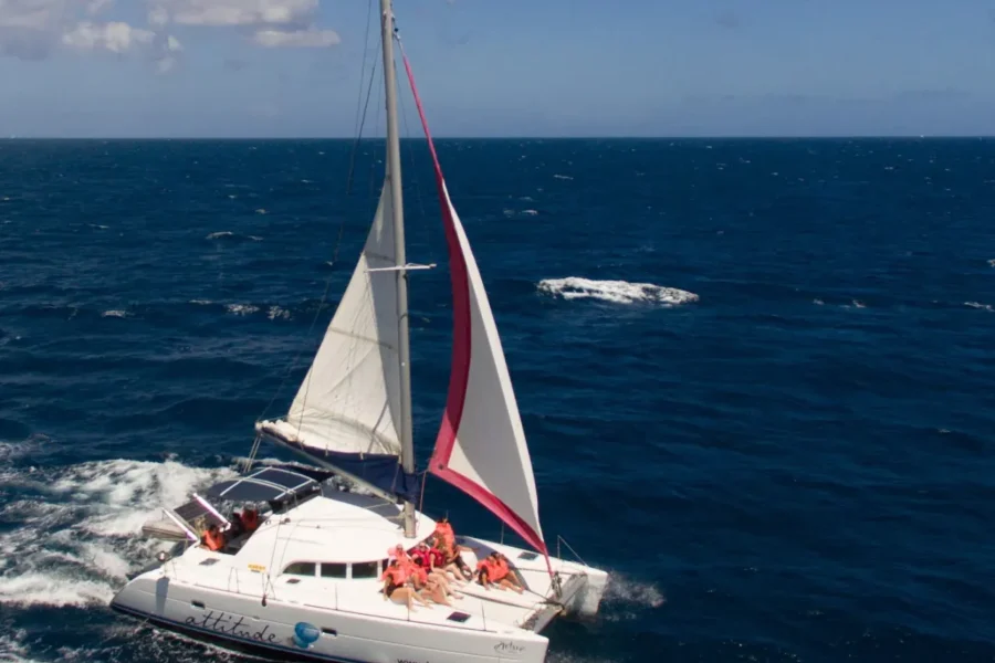 🕓Full Day Catamaran Luxury Cruise to Northern Islands w Lunch