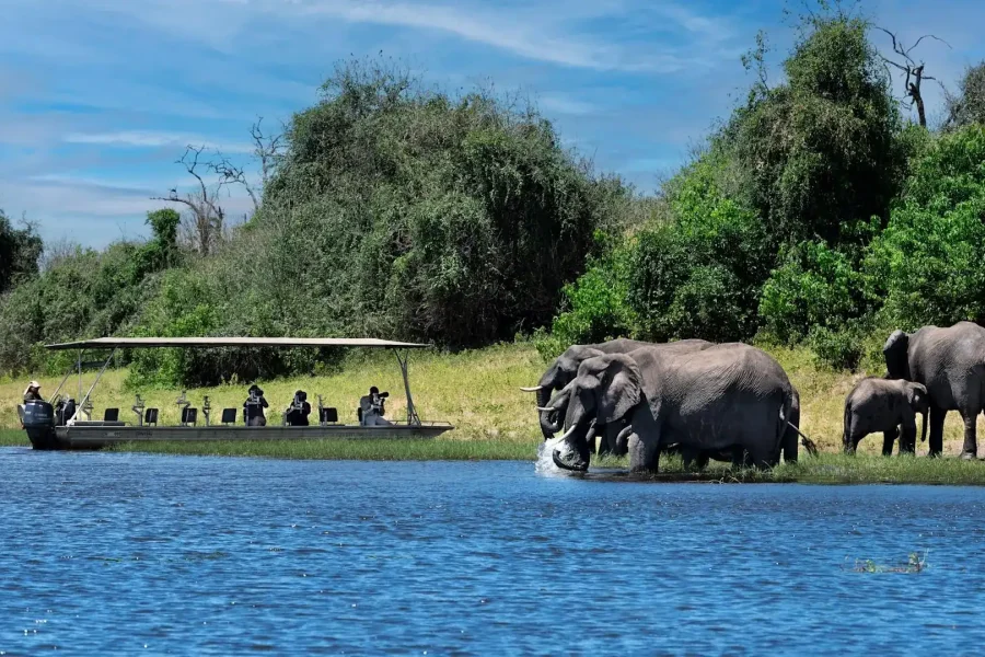 🕓Full Day Chobe Trip From Livingstone Town Zambia