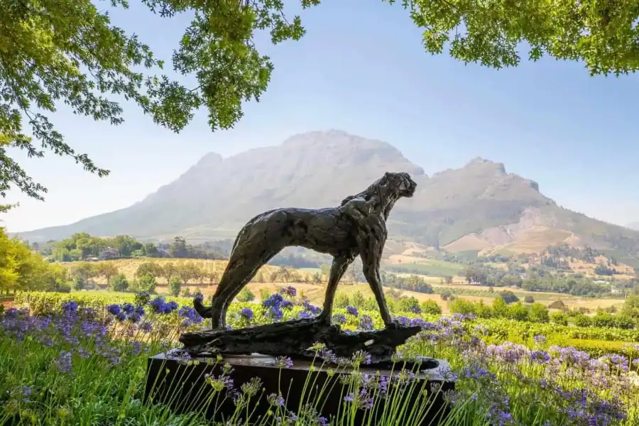🕓Full Day Winelands Tour With Wine Tasting from Cape Town