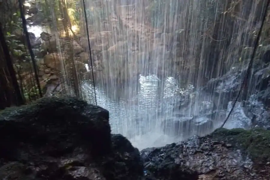 🚸Full Paradise Lost Recreational Day