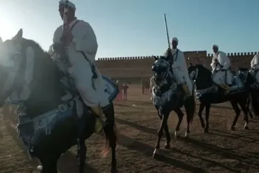 🪇Ghardaia Moussem (Algeria)