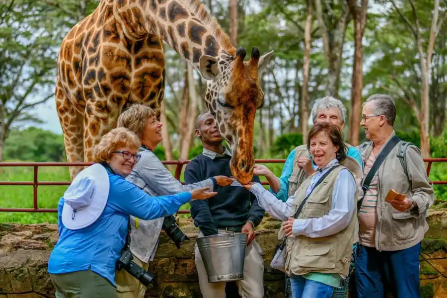 🕓Giraffe Center and Elephant Orphanage Guided Tour