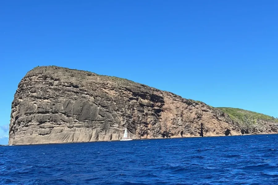 🕓Grand Baie: Northern Isles Catamaran Cruise with BBQ