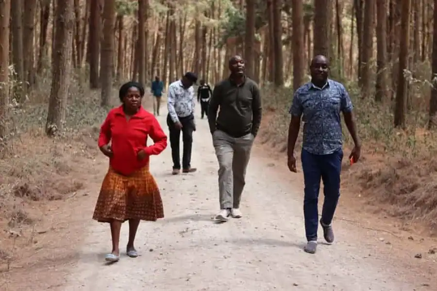 🚸Guided Mount Kilimanjaro 1 Day Hike To Rongai-kenya To Tz