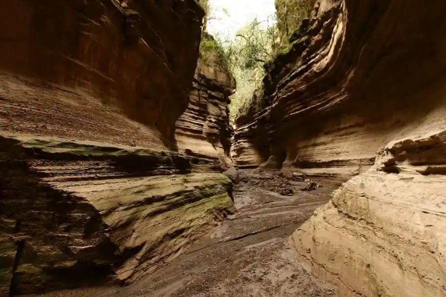 🕓Hell's Gate National Park And Lake Naivasha Day Trip