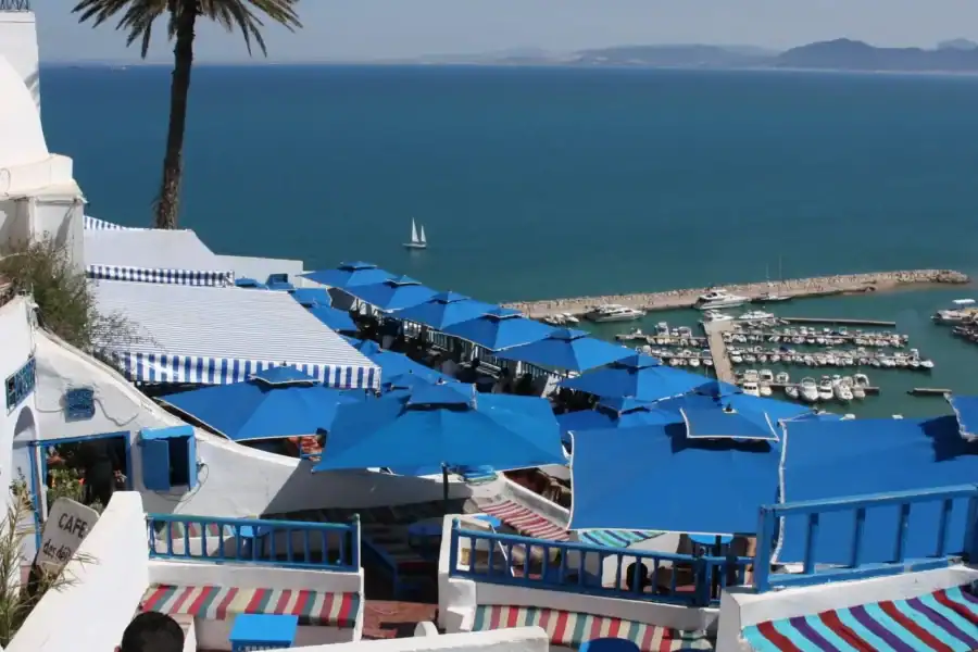 🕓Highlights of Tunis: Carthage, Sidi Bou Said& Medina + lunch