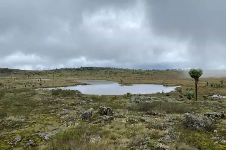 🚸Hike The Enchanting Seven Ponds Of The Aberdares