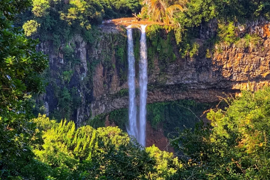 🕓Hiking the Black River Gorges: Full-day incl Lunch&Transfer