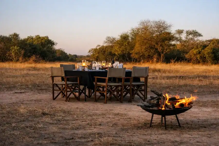 🕓Hoedspruit: Dinner in the Bush& Safari Game Drive