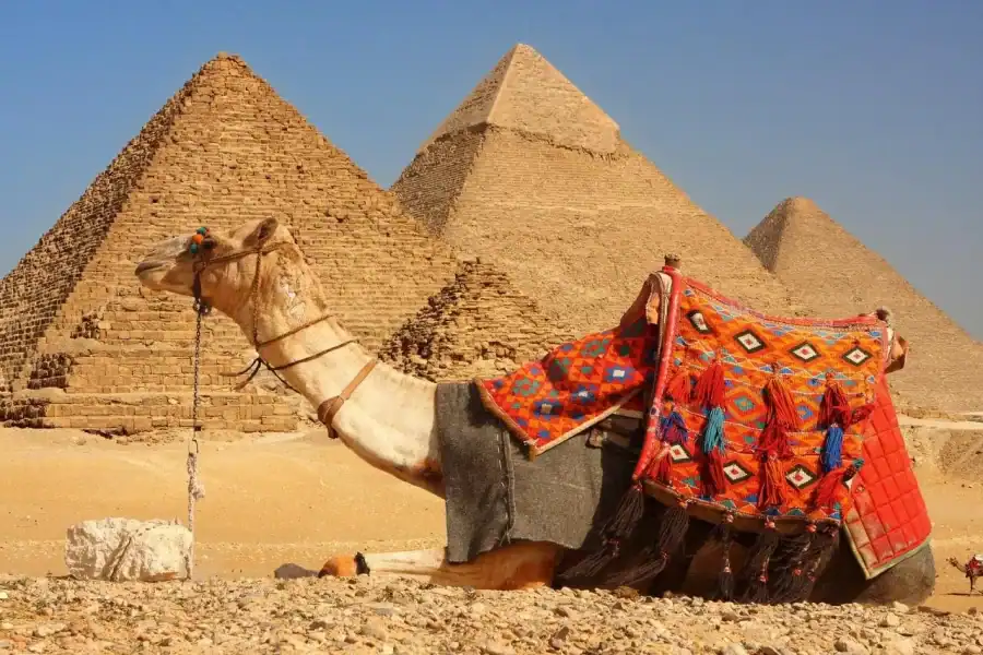 🕓Hurghada: 2-Day Cairo Tour with Pyramids& GEM