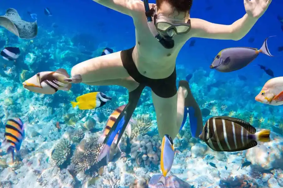 🕓Hurghada: Giftun Island Sea Trip with Snorkeling& Lunch