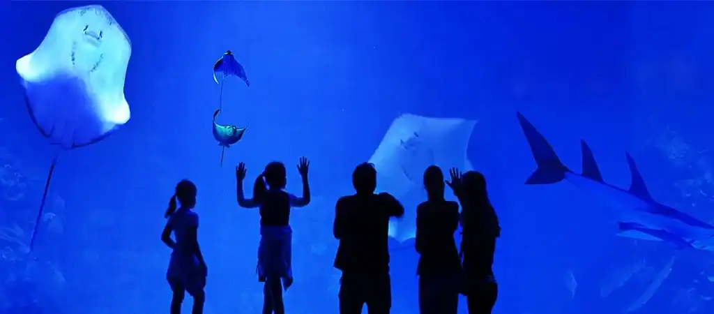 🦈 Hurghada Grand Aquarium (Egypt)