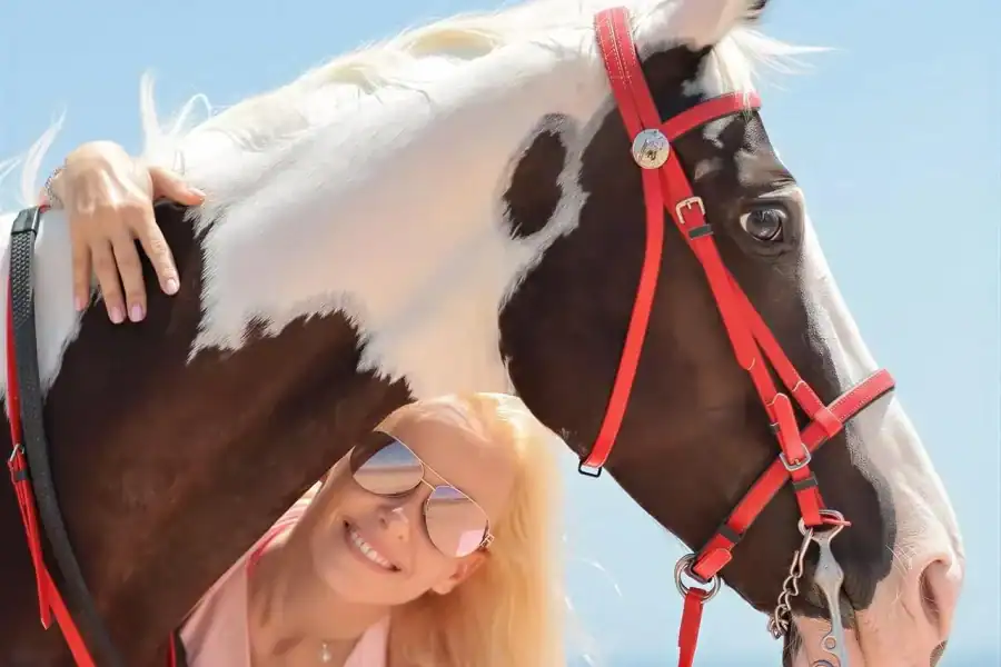 🕓Hurghada: Horse Riding in the Desert& Beach Experience
