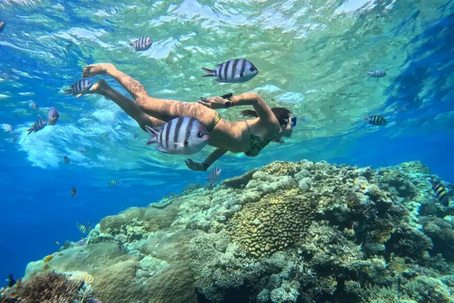 🕓Hurghada: Orange Bay + Diving, Local Breakfast, Seafood Lunch