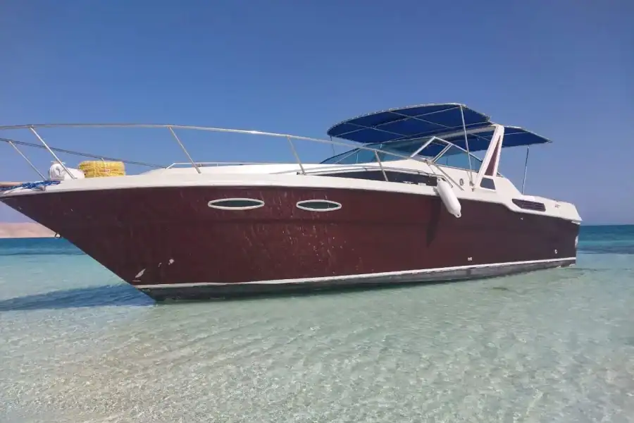 🕓Hurghada: Private Luxury Speedboat W Snorkelling& Fruits