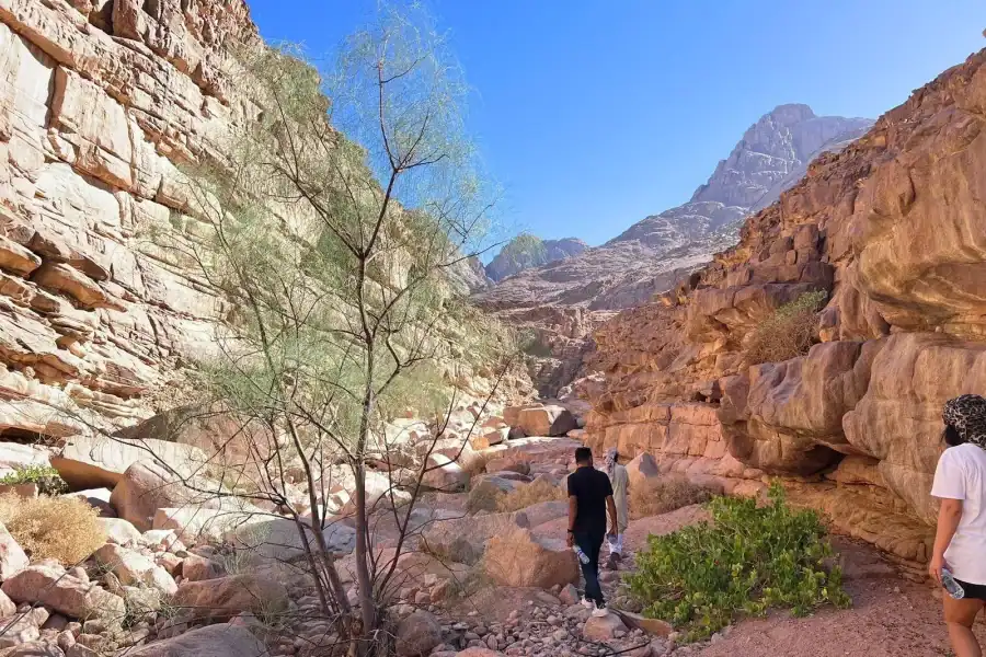 🕓Hurghada Qattar Mountain Adventure: 4WD& Stargazing