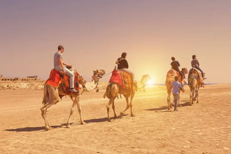 🕓Hurghada: Sea& Desert Camel Ride w/Dinner, Show, Stargazing