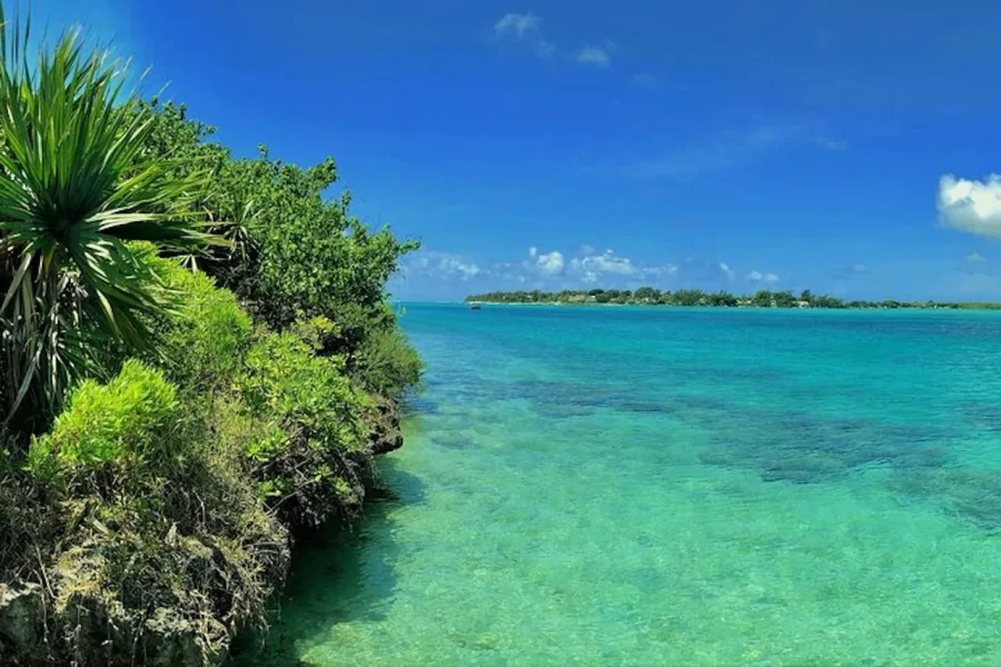 🕓Ile aux Aigrettes Reserve& Blue Bay Glass Bottom Boat