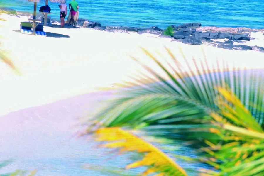 🕓Ile aux Cerfs: Island& Waterfall Speedboat Tour with Lunch