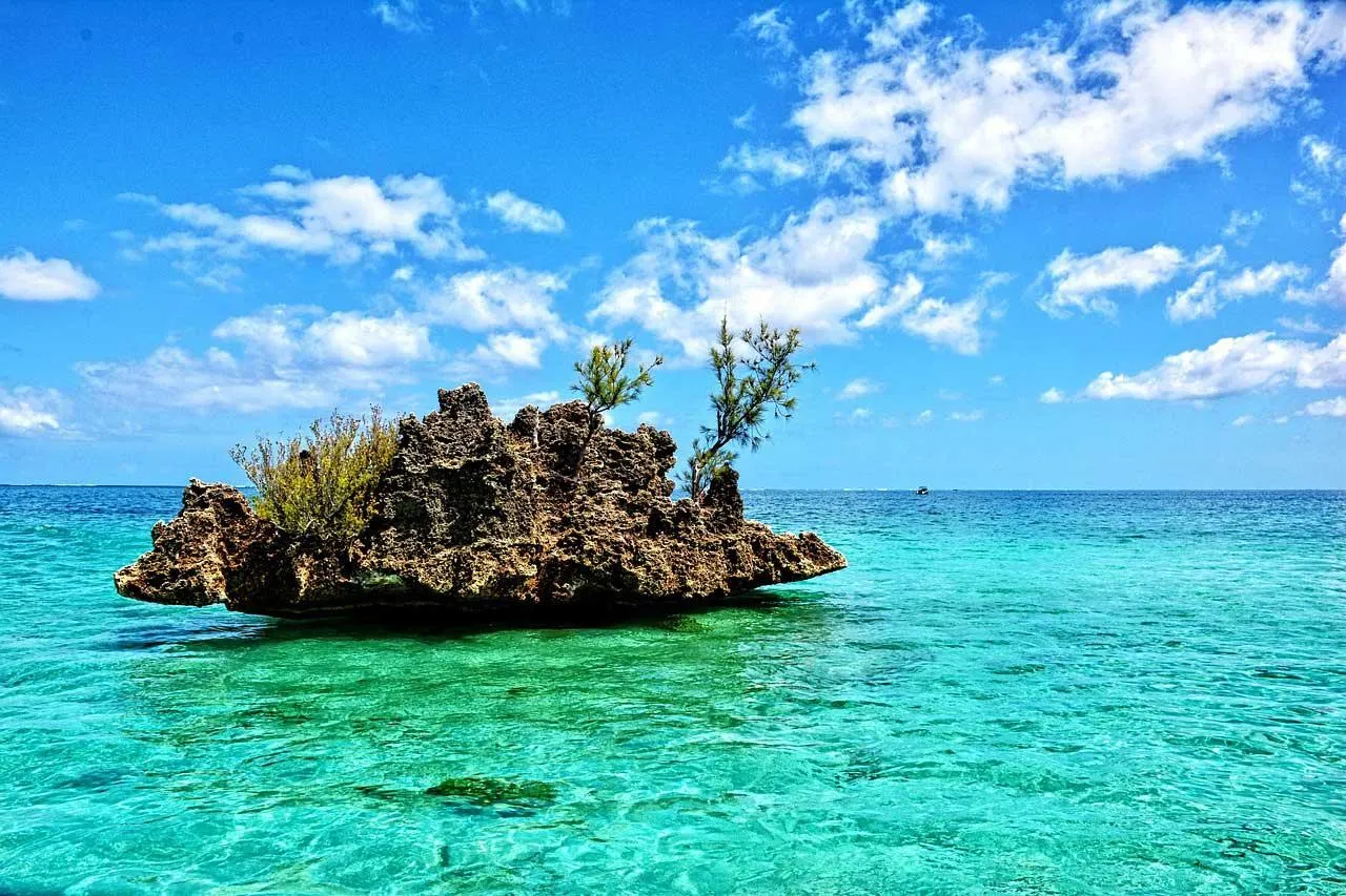 🕓IleAuxBenitiers: Private tour CrystalRock, Lunch on island