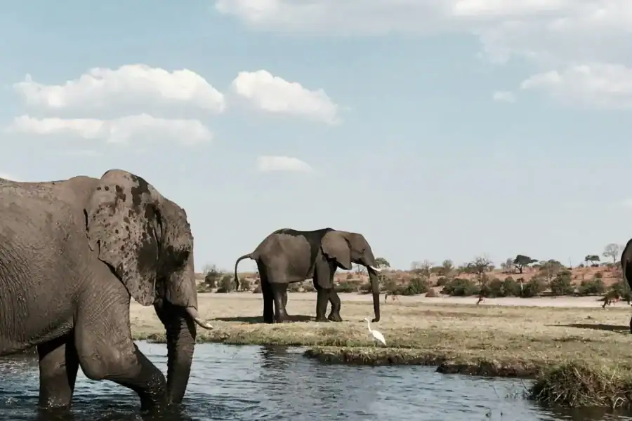 🕓Into the Wild Kafue – 3-Day Safari Adventure