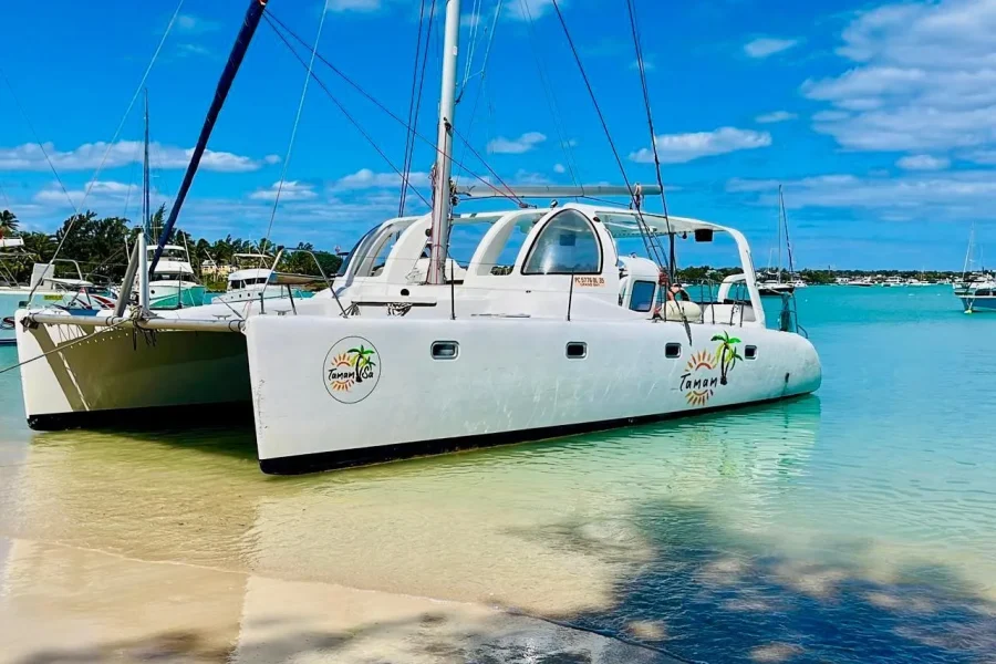 🕓Island Vibes: Northern Isles Catamaran& Tropical BBQ