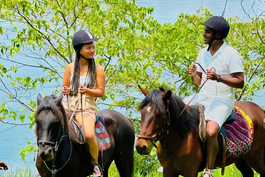 🕓Jinja trip with Ssezibwa falls, horse ride and boat cruise