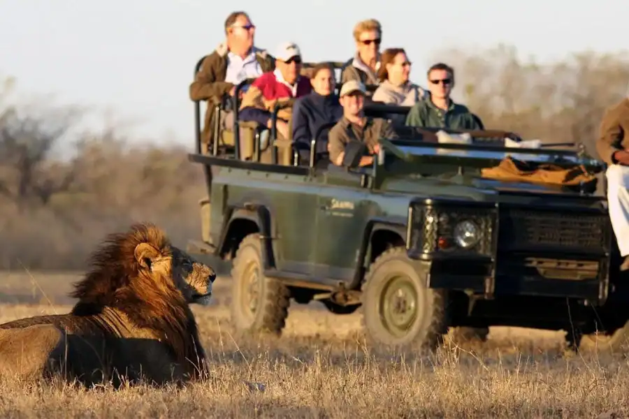 🕓Johannesburg: 2-Day Southern Kruger National Park Safari