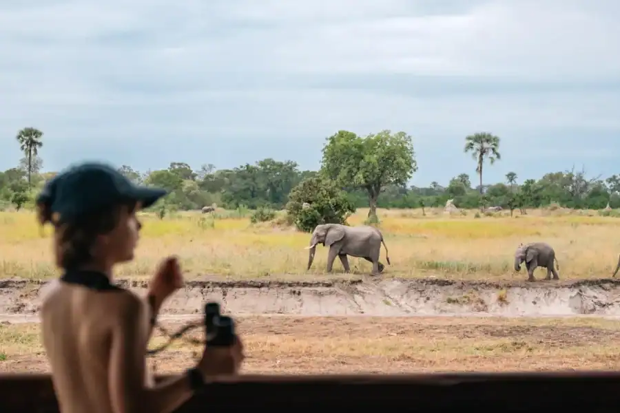 🕓Johannesburg: 5-Day Kruger Safari& Panorama Route Tour