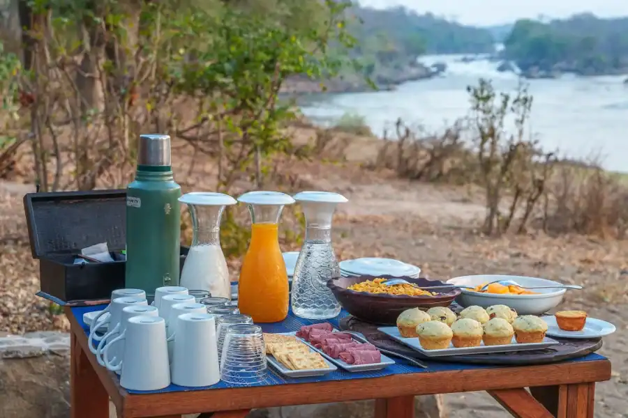🕓Kafue National Park: 3-Day Birdwatching Safari with Meals