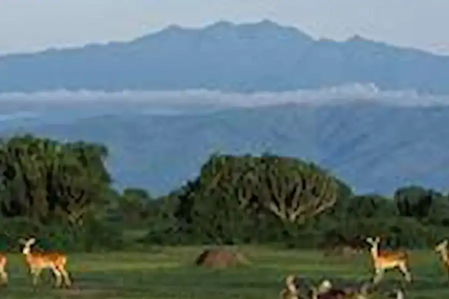 🕓Kampala: 2-Day Queen Elizabeth Wildlife Safari