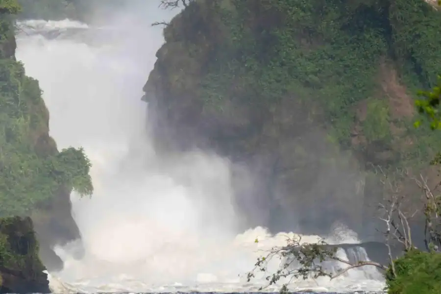 🕓Kampala: 3-Day Murchison Falls& Ziwa Rhino Safari