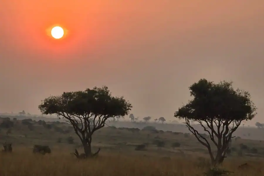 🕓Kampala: Sipi Falls Hike and Coffee Tour 2-Day Trip