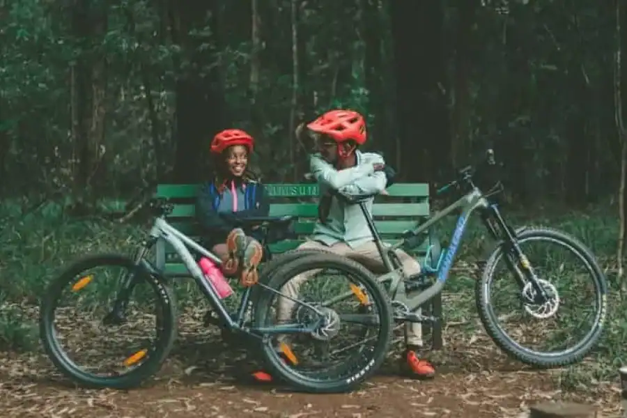 🚸Karura Forest A Walking Tour From Nairobi