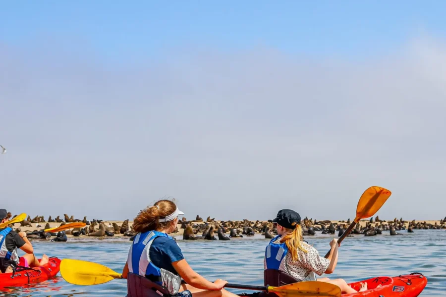 🕓Kayaking Combo with Beach Braai