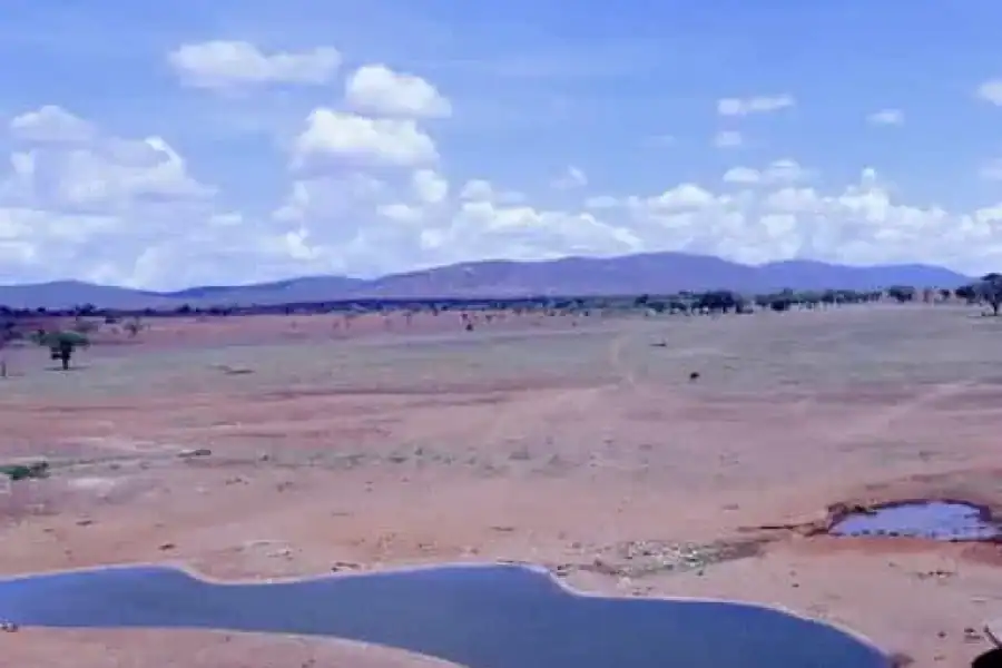 🚸Kenya: Safari And Adventure Tours