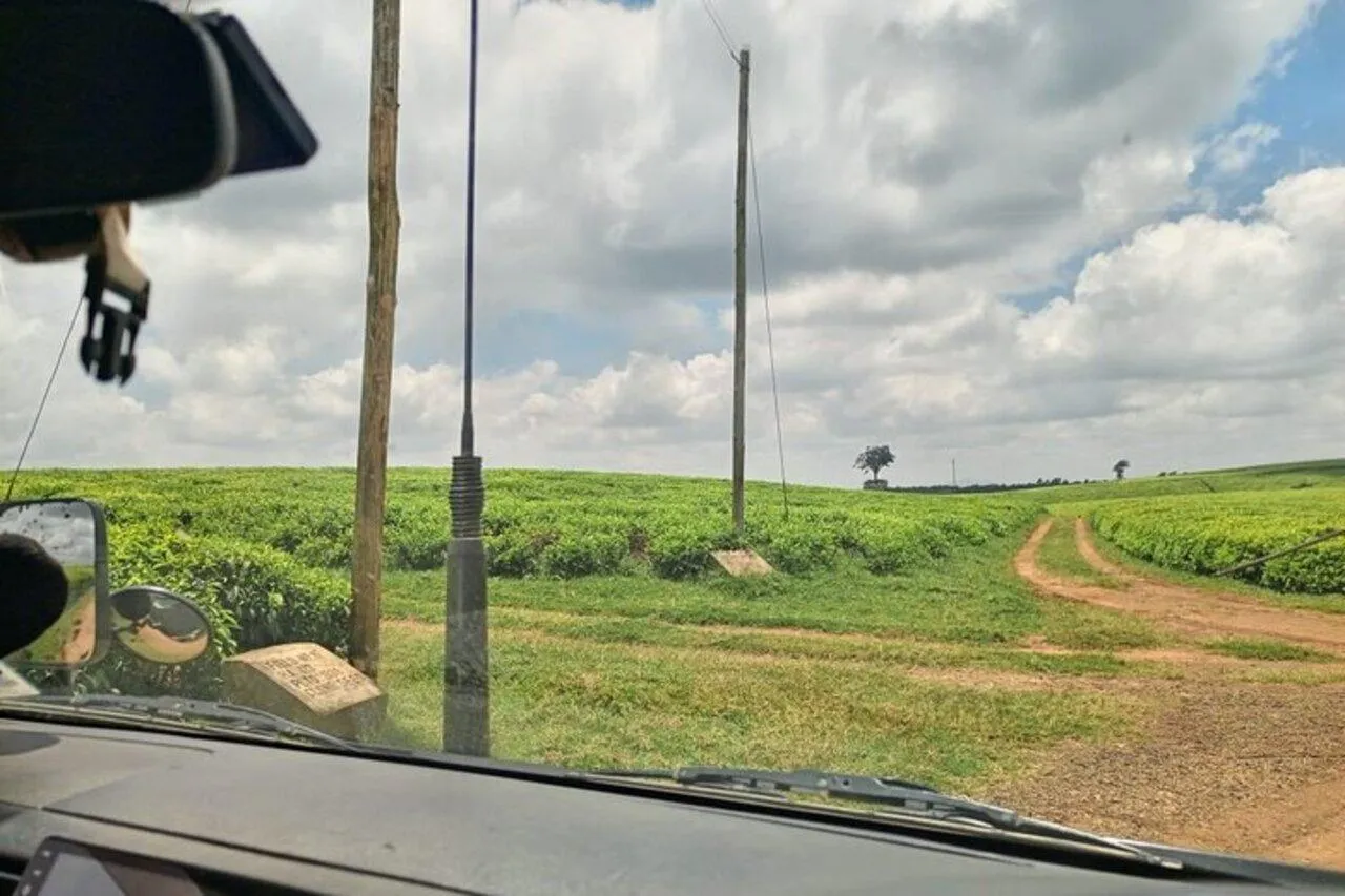 🕓Kiambu: Burudani Adventure Park Guided Tour