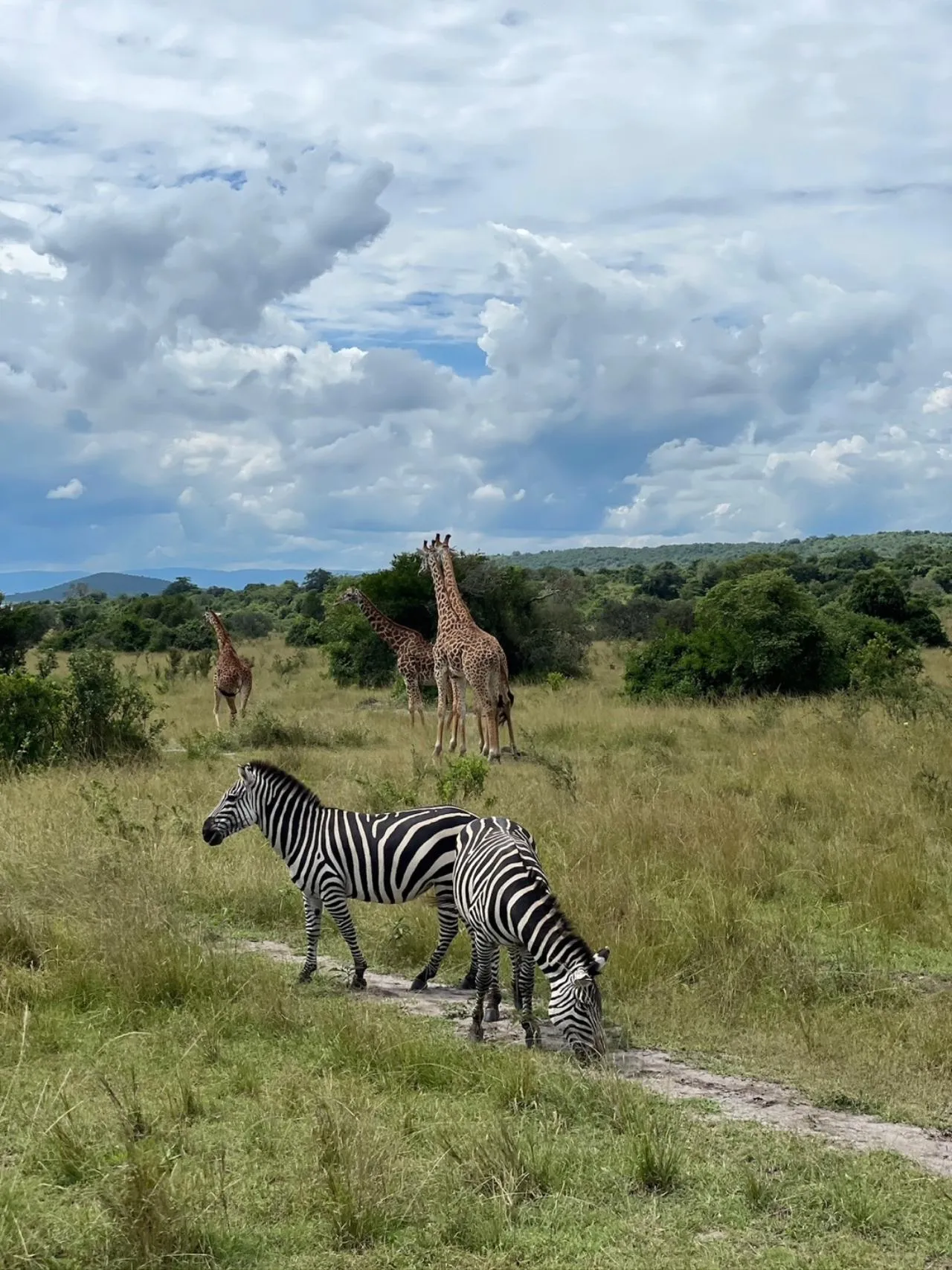 🕓Kigali: 2-Day Akagera National Park Safari with Boat Ride