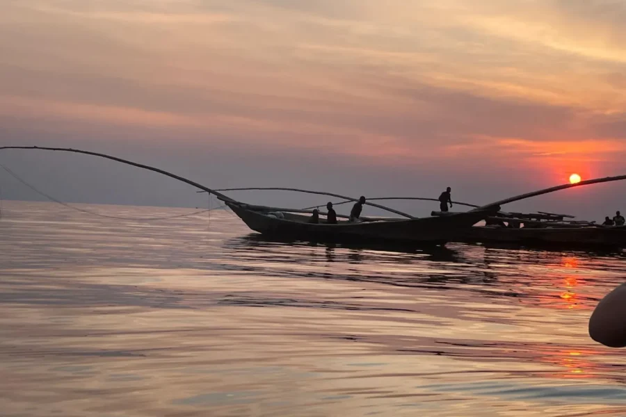 🕓Kigali: 4-Day Gorilla Trekking and Lake Kivu Safari