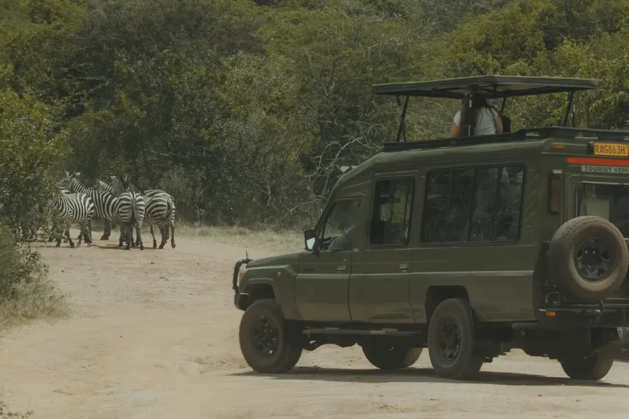 🕓Kigali: 7-Day Safari, Wildlife Immersion, Big 5 to Gorillas