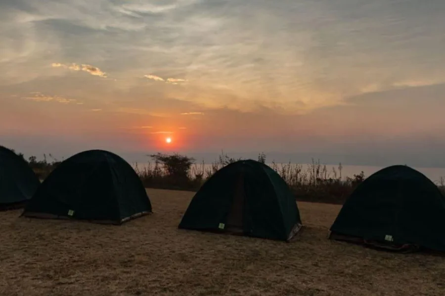 🕓Kigali: Akagera National Park 2-Day Camping Safari