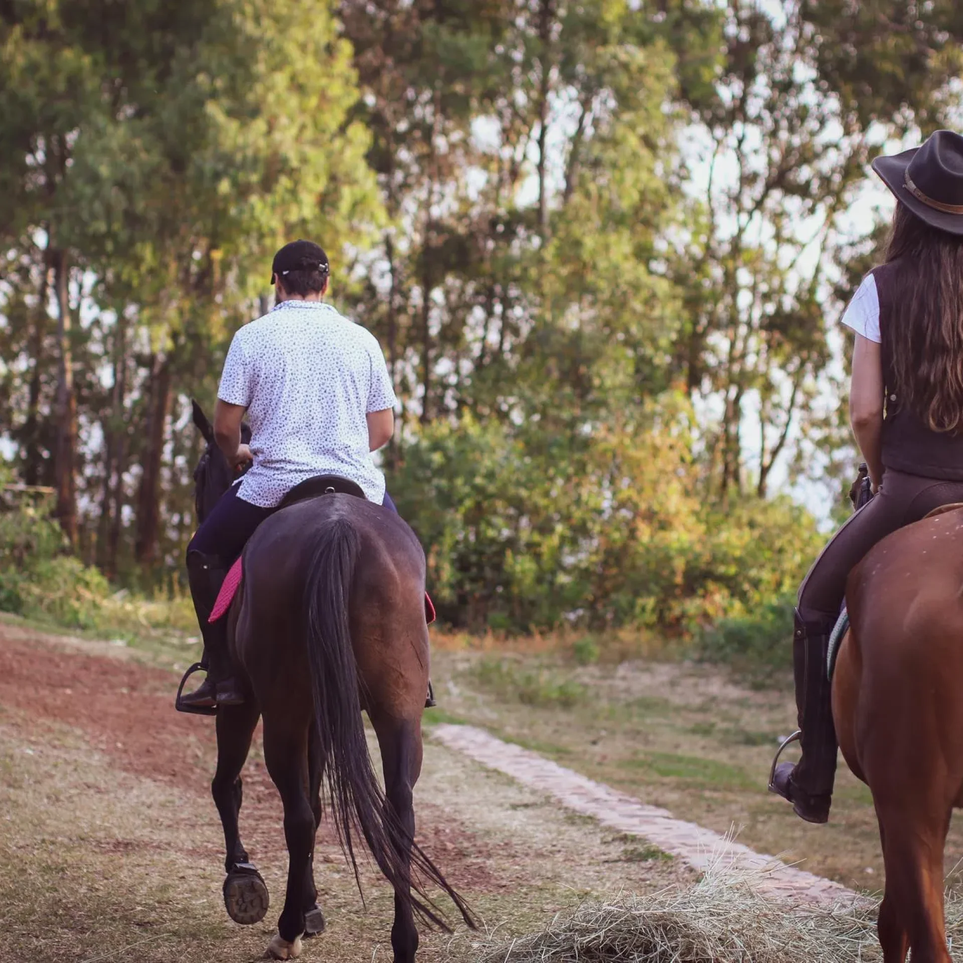 🕓Kigali: Horse Riding Trail in Mount Kigali