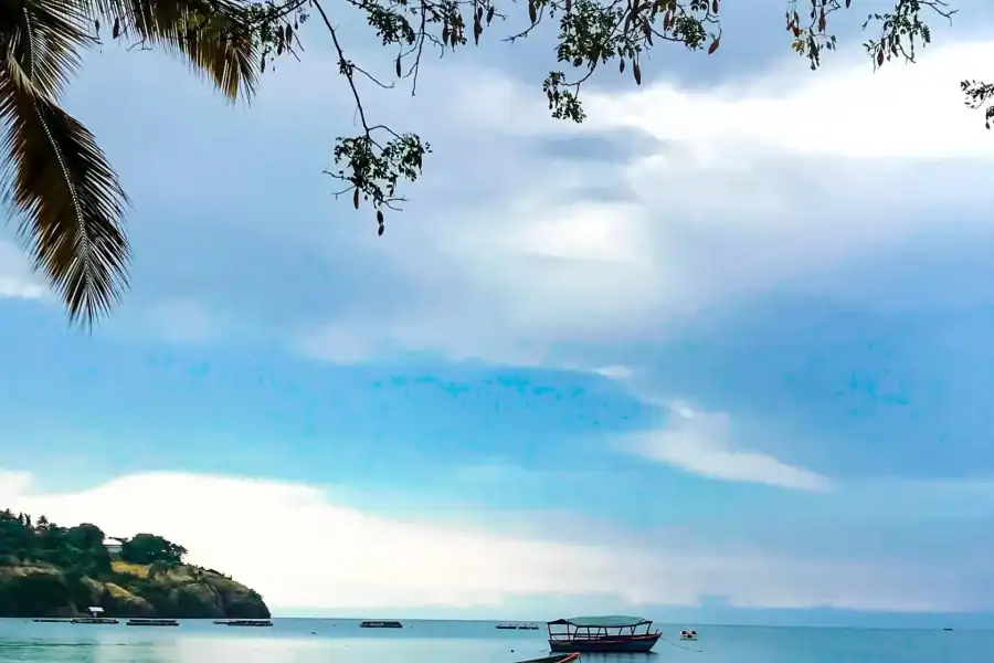 🕓Kigoma: Lake Tanganyika Tour and Canoe Ride