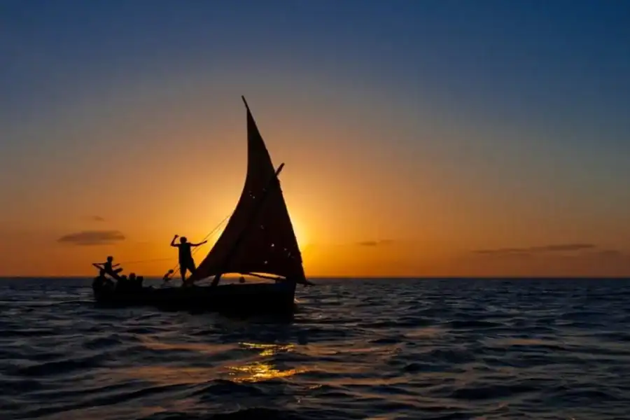 🕓Kilifi Creek: Dhow& Drums Sunset Experience