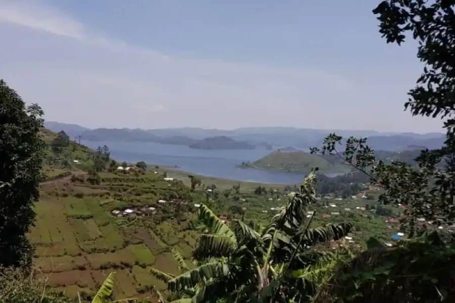 🕓Kisoro: Coffee Village Tour with Hands-On Coffee Making