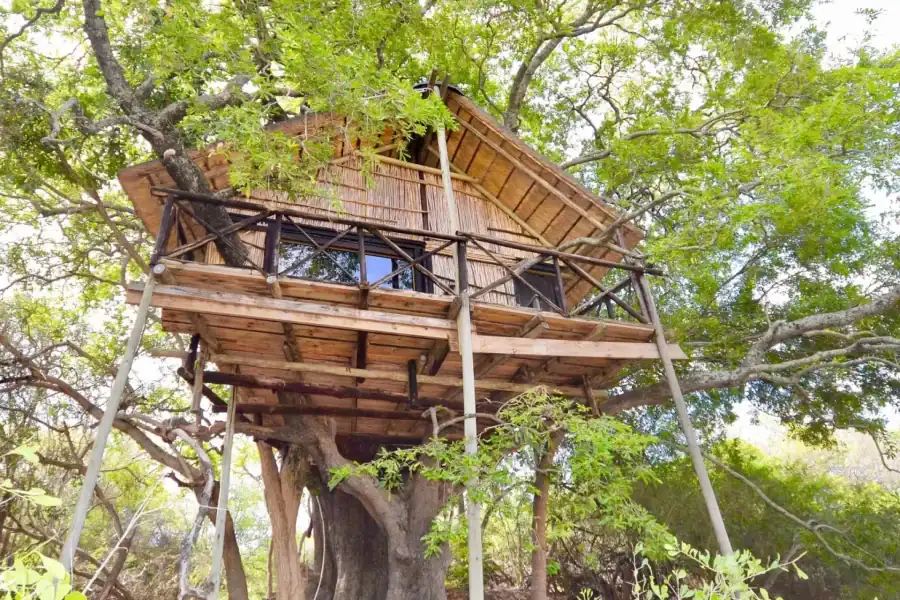 🕓Kruger National Park: 3-Day Safari Tour and Treehouse Stay