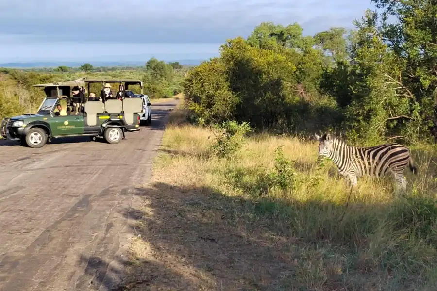 🕓Kruger National Park half day