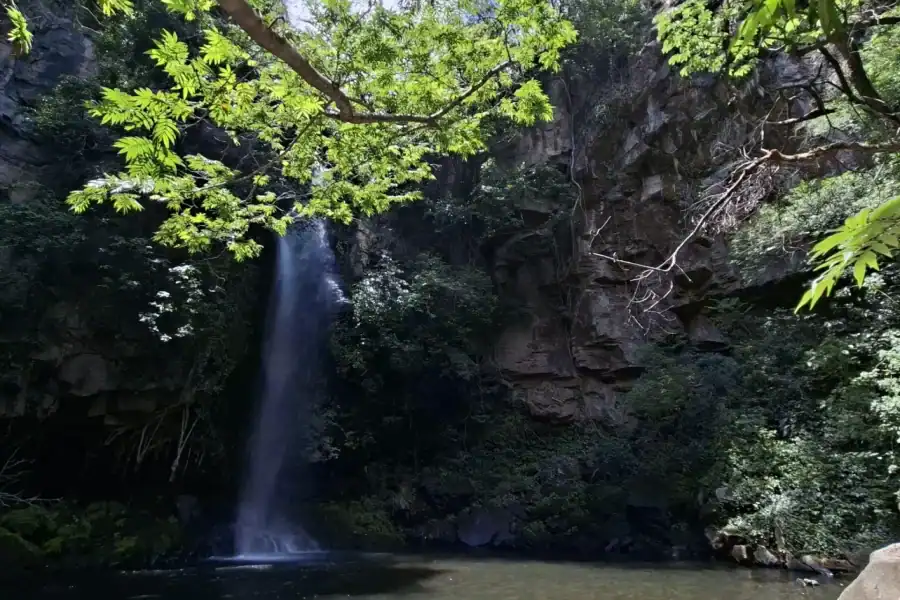 🕓La Cangreja Waterfall hike at Rincón de la Vieja Volcano